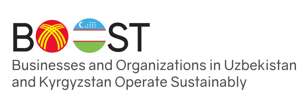 BOOST gallery image 1